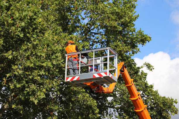 Mulching Services in Greencastle, PA